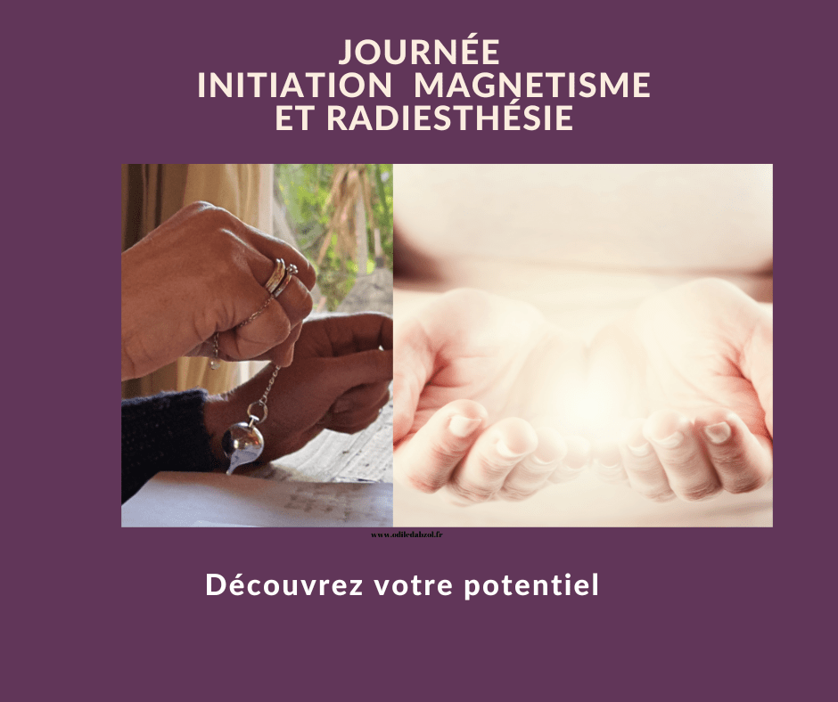 Initiation magnétisme à la Ciotat